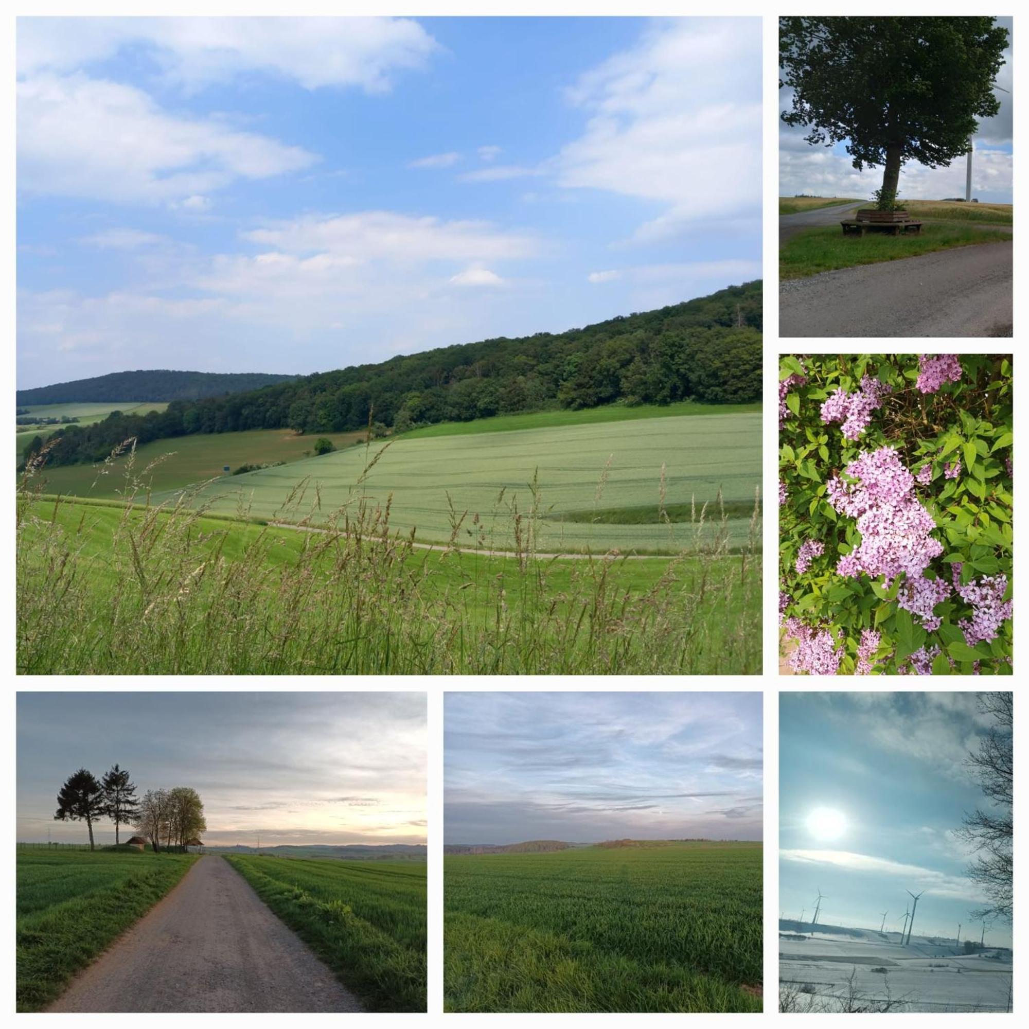 Gaestezimmer Diemelstadt Luaran gambar